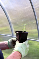 Similar image 22172005