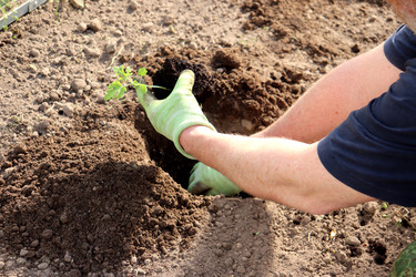 Similar image 22188487