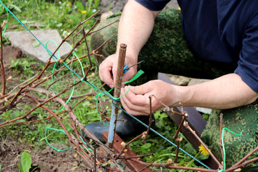 Similar image 22188488