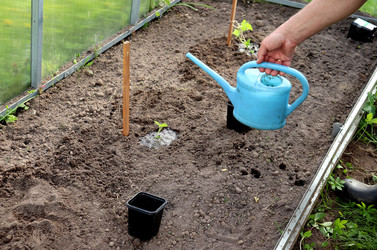 Similar image 22188489