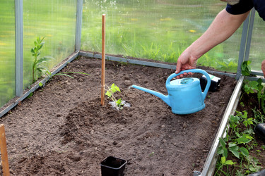 Similar image 22194132