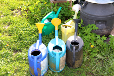 Similar image 22194133