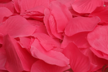 Similar image 22170405