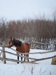 Similar image 22172010