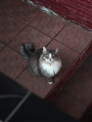 Similar image 22172011