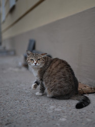 Similar image 22172012