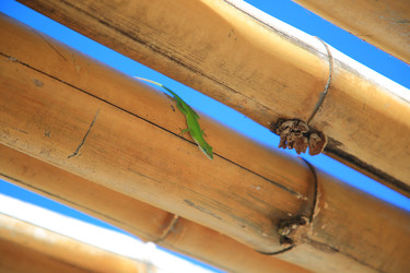 Similar image 22180376