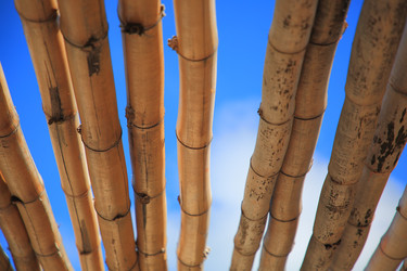 Similar image 22189314