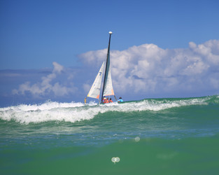 Similar image 22179247