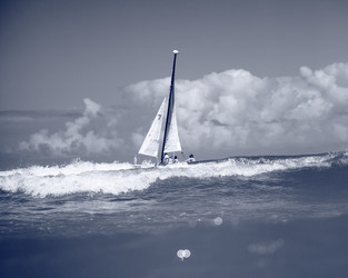 Similar image 22180088