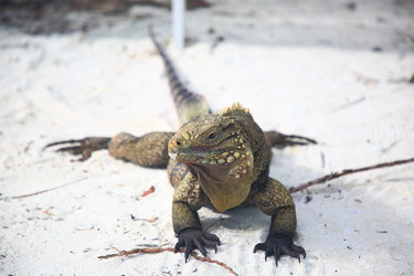 Similar image 22180377