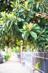 Similar image 22176253