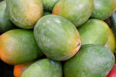 Similar image 22176262