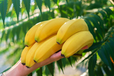 Similar image 22176274