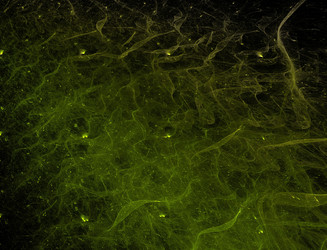 Similar image 22176720