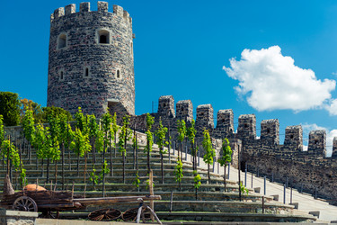 Similar image 22171242