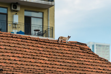 Similar image 22171257