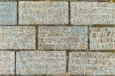 Similar image 22171269