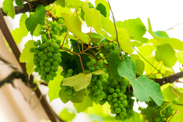 Similar image 22171480