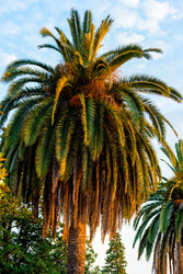 Similar image 22171511