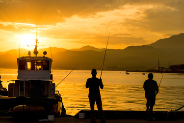 Similar image 22171520