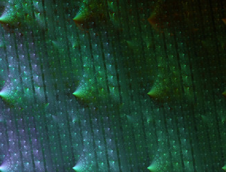 Similar image 22176636