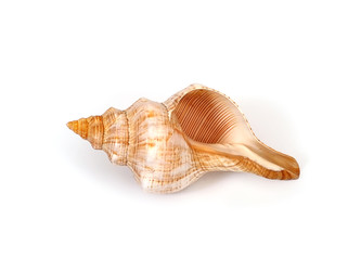 Similar image 22171531