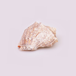 Similar image 22171544