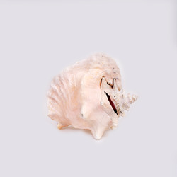 Similar image 22171548