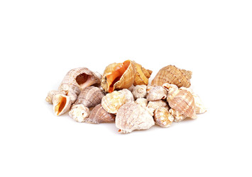 Similar image 22171553