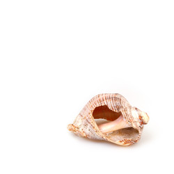 Similar image 22171557