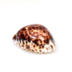 Similar image 22171559