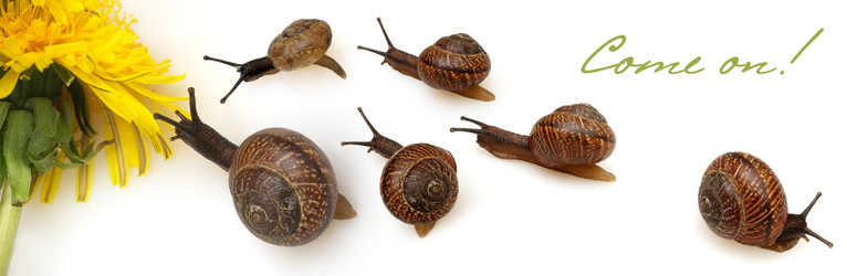 Similar image 22171571