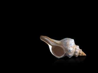 Similar image 22171575