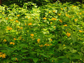 Similar image 22171334