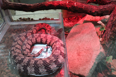 Similar image 22181276