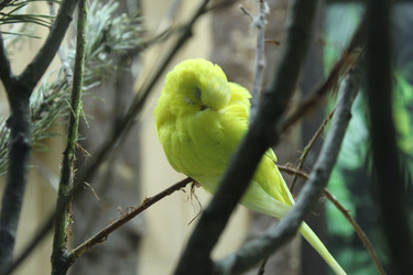 Similar image 22181277