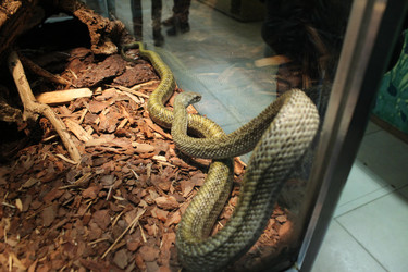 Similar image 22181278