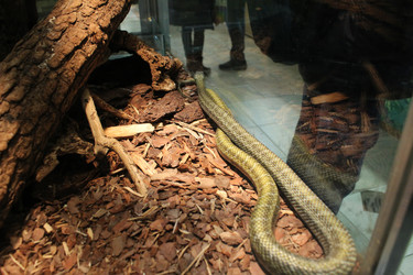 Similar image 22181279