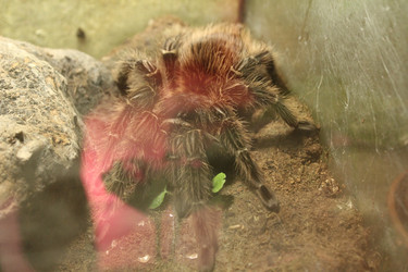 Similar image 22181280