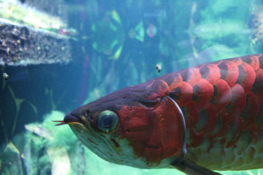 Similar image 22181282