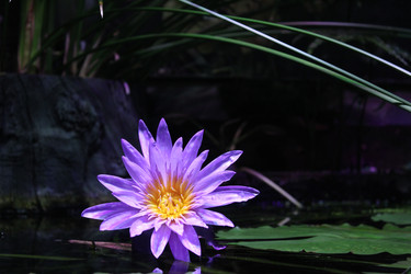 Similar image 22181283