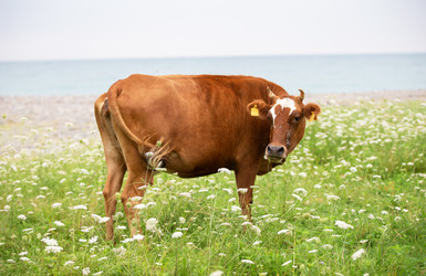 Similar image 22176437