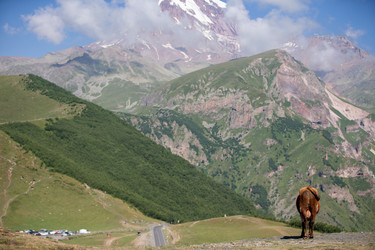 Similar image 22175917