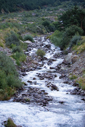 Similar image 22175918