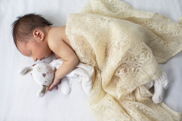 Similar image 22179583