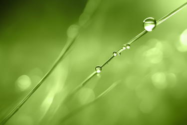 Similar image 22172273