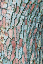 Similar image 22171577