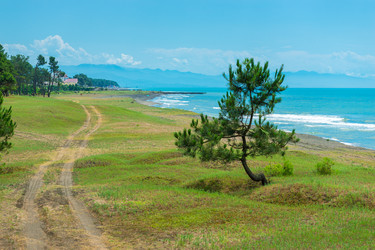 Similar image 22171579