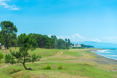 Similar image 22171581